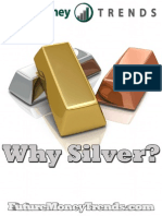 Why Silver 2013