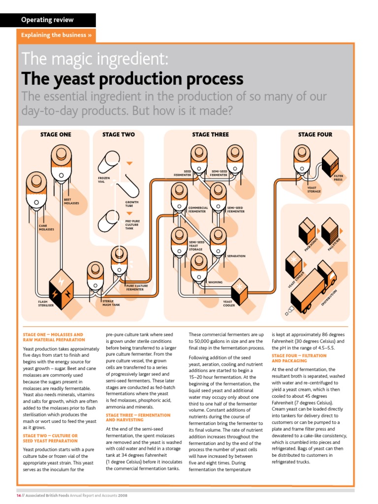 Yeast Production Process PDF Brewing Yeast