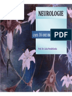 Schema CURS Neurologie