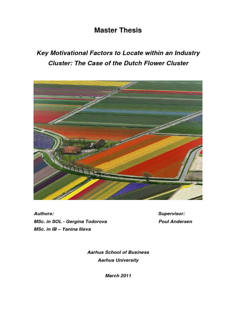 Dutch flower cluster case study solution 08 picture