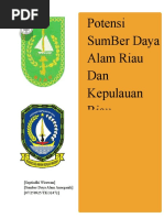 Download Potensi Sumber daya alam Provinsi Riau dan Kepulaian Riau by septiadhi wirawan SN21793975 doc pdf