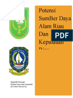 Download Natural resource Potention in Riau and Riau Archipelagos in Indonesia by septiadhi wirawan SN21794860 doc pdf