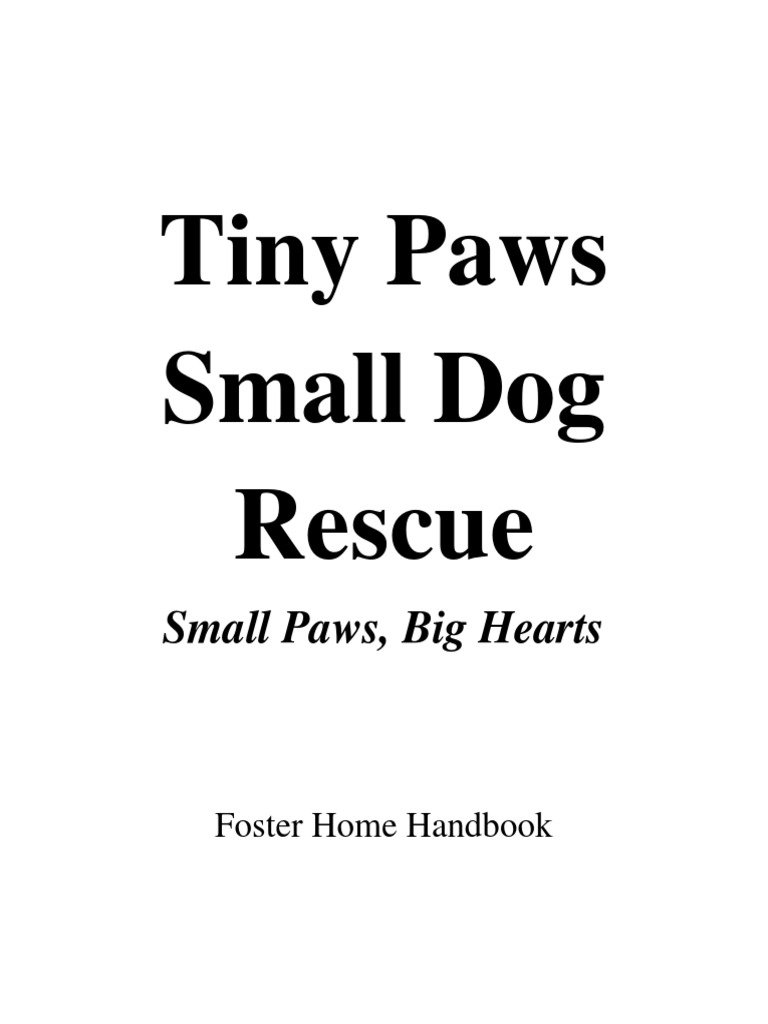 tiny paws small dog rescue