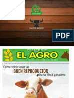 Como Seleccionar Un Buen Reproductor Apra Su Finca Ganadera