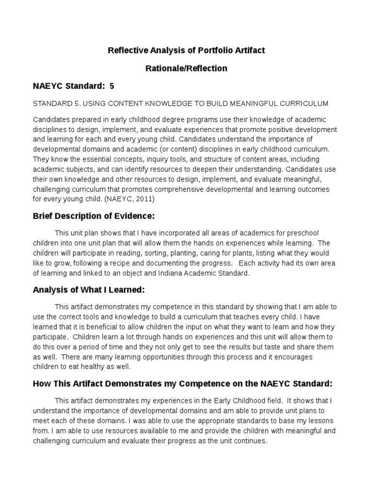 Rationale Reflection Standard 5 | PDF