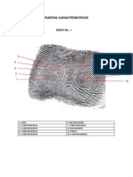 Puntos Caracteristicos 2
