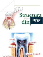 STRUCTURA Dintelui