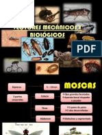 Vectores Mecánicos y Biológicos