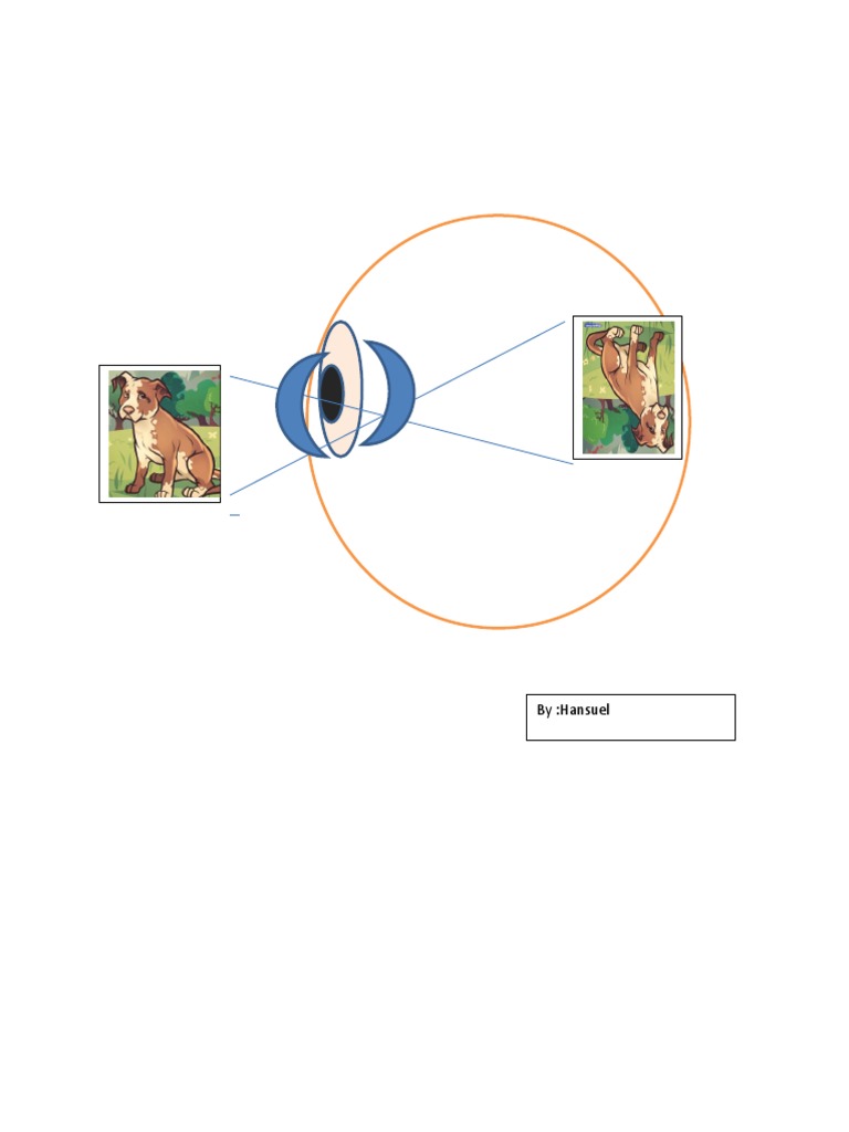 04 Eye | PDF