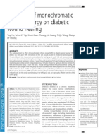 Papers Ratas PDF