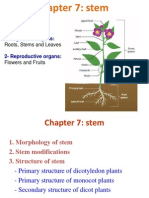Presentation Organization of Plants 56tt