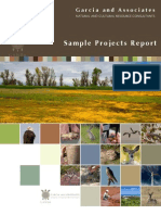 2011 ProjectReport Web