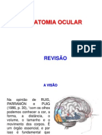 REVISÃO Anatomia e Fisiologia Do Olho
