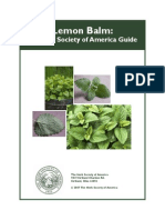 Lemon Balm Guide