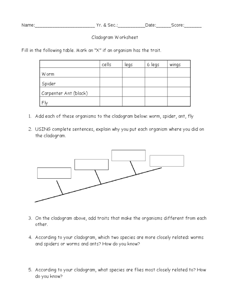 Worksheet Cladogram Worksheet cladogram worksheet
