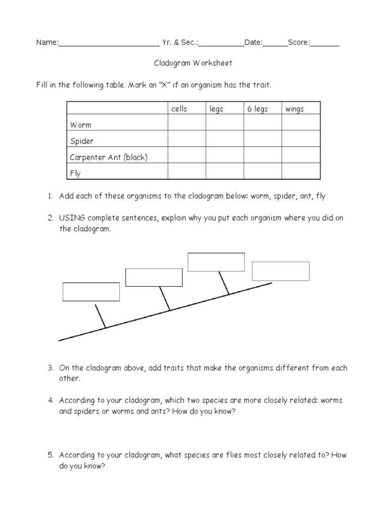 cladogram-worksheet-answers-free-download-qstion-co
