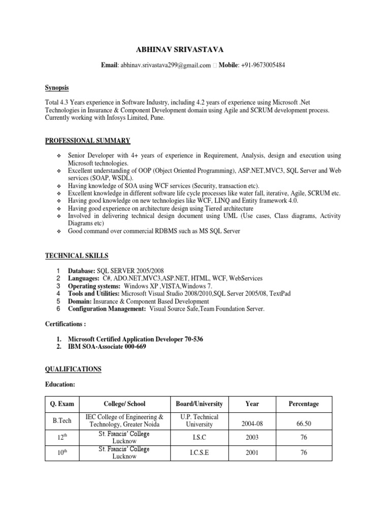 Abhinav Srivastava's Professional Profile | PDF | Microsoft Sql Server ...