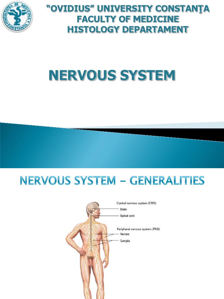 Nervous System Histology Overview | PDF
