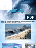 Tsunami Prezentare