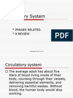Chapter1circulatory System