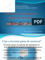 Procesul de Fabricare A Gumei de Mestecat