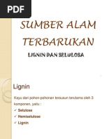 Download 1 ligninselulosa by Chandra Icha Kurniauan SN218078339 doc pdf