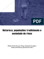 Natureza, populações tradicionais e sociedade de risco