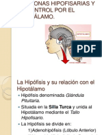Hormonas Hipofisarias y su control por el Hipotálamo