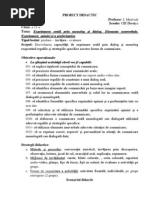 6 Proiect Didactic Clasa 11