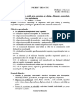 6 Proiect Didactic Clasa 11