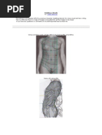 Download Modeling a Female in Maya by priyakhandavalli SN21811859 doc pdf