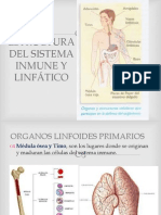 Organos Del Sistema Inmune