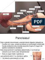 Curs 5 28.03.2014 Pancreas2013