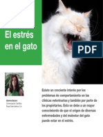 El Estres en El Gato