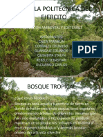 Bosque Tropical