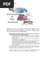 Curiosidades Sobre a Água