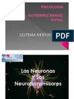 neurona.pdf