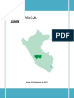 Departamento de Junín P.E