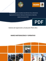 Manual Evaluacion 2011 PESA