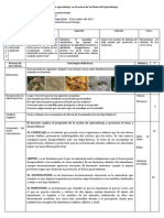 Sesión de aprendizaje  en el marco de las Rutas del Aprendizaje minetismo