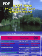 Download 9 Penyakit Ikan Virus by Dwi Wahyu Rochmawati SN218305198 doc pdf