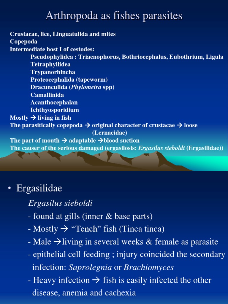 Fish Parasites: Copepods and Mites | PDF | Fish | Parasitism
