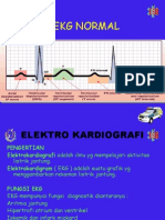 01.EKG Normal New