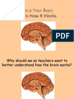 Brain Powerpoint