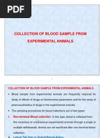 Rabbit Blood Collection Techniques | PDF | Intravenous Therapy | Blood