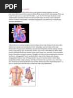 Download ALKES  Kateter Jantung  by cesstarius SN218384190 doc pdf