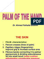 10-Palm of Hand