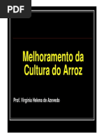 AULA 3 - Melhoramento de Arroz