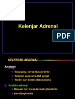 Adrenal Lida