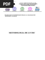 Metodologie de Lucru